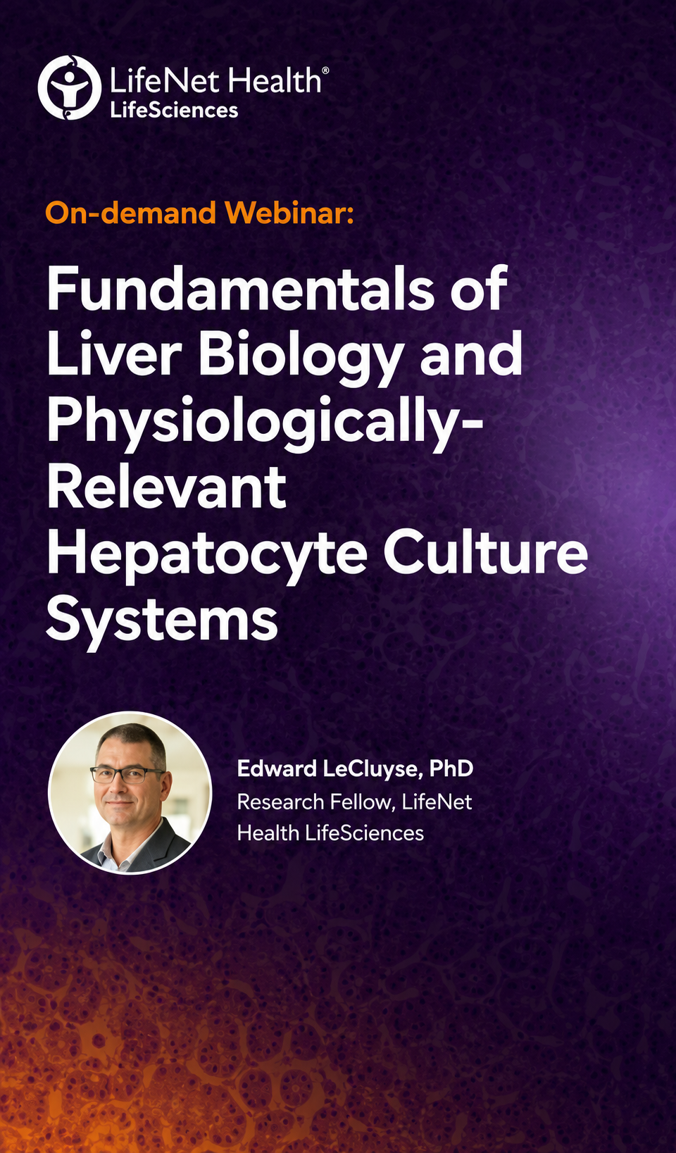 Fundamentals of Liver Biology and Physiologically-Relevant Hepatocyte Culture Systems