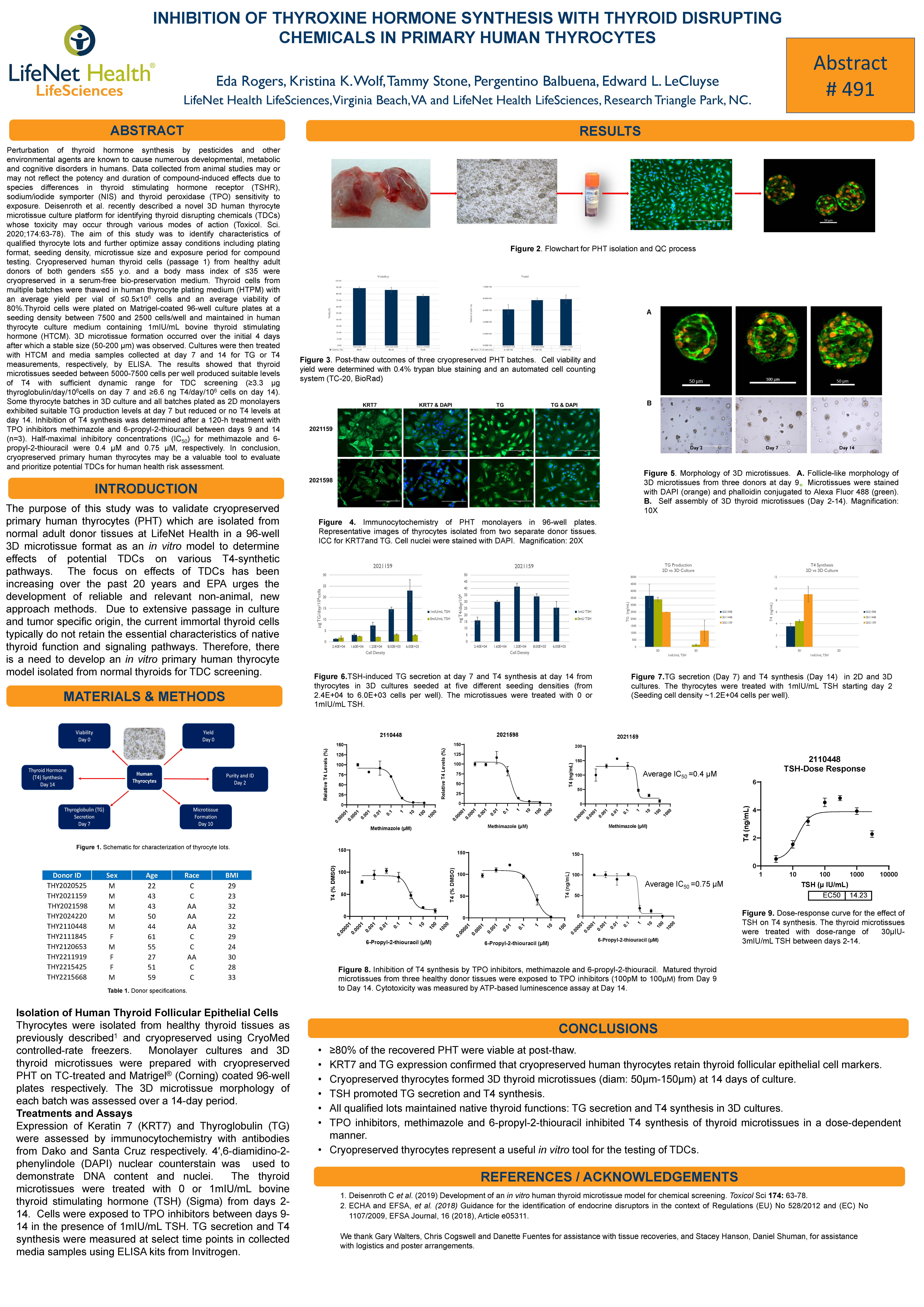 Inhibition of Thyroxine Hormone Synthesis in Primary Human Thyrocytes