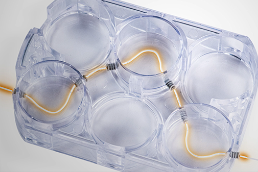 MPS with simulated blood flow