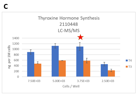 Figure 3. Identifying the lower limits of thyroxine hormones by LC-MS/MS. The thyrocytes were seeded at six different seeding densities (from 1.5E+04 to 2.5E+03 cells per well).&nbsp;A.&nbsp;TSH-induced T4 synthesis on day 14 from thyrocytes in 3D cultures was determined by LC-MS/MS. B. The dynamic range of T4 synthesis. C.&nbsp;Thyroxine hormone production levels normalized to 1M cells.  D. Representative 3D thyroid microtissues on day 14 (Lot 2110448). Magnification:40X. 