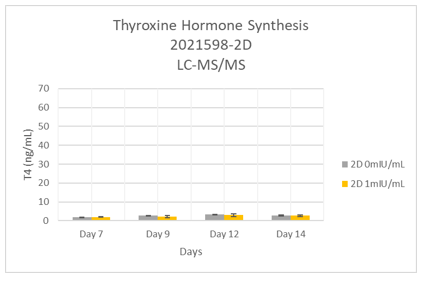Lack of T4 synthesis from thyrocytes in 2D cultures when stimulated with bovine TSH.