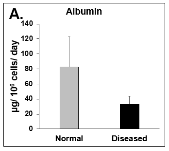 Functionality of Normal and Diseased PHHs. (A) Albumin and (B) Urea levels of Normal (grey bar) and Diseased (black bar) PHHs in the hTCS on day 14. (C) CYP3A4 activity of Normal (grey bar) and Diseased (black bar) PHHs on day 14. Error bars represent standard deviation (n ≥ 3 wells).
