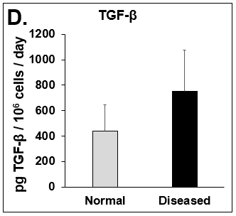 Expression of pro-inflammatory cytokines and fibrotic markers. Levels of (A) IL-6, a pro-inflammatory cytokine, and (B) MCP-1, a pro-inflammatory chemokine, in Normal (grey bar) and Diseased (black bar) PHHs in the hTCS on day 14. The fibrotic markers of (C) CK-18 and (D) TGF-β were measured in Normal (grey bar) and Diseased (black bar) PHHs on day 14. Error bars represent standard deviation (n ≥ 3 wells).