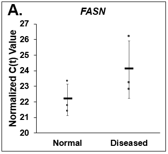 Differences in lipogenesis and gluconeogenesis. C(t) values of (A) Fatty Acid Synthase (FASN), (B) Phosphoenolpyruvate Carboxykinase (PCK1), and (C) Glucose-6-phosphatase (G6PC) on day 14 from Normal (circles) and Diseased (squares) PHHs in the hTCS. Errors bars represent standard deviation (n ≥ 3 wells).