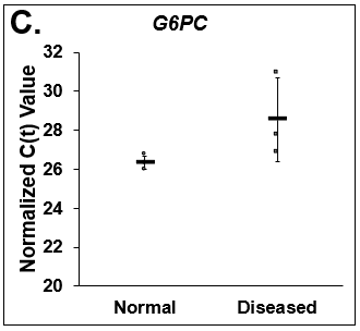 Differences in lipogenesis and gluconeogenesis. C(t) values of (A) Fatty Acid Synthase (FASN), (B) Phosphoenolpyruvate Carboxykinase (PCK1), and (C) Glucose-6-phosphatase (G6PC) on day 14 from Normal (circles) and Diseased (squares) PHHs in the hTCS. Errors bars represent standard deviation (n ≥ 3 wells).