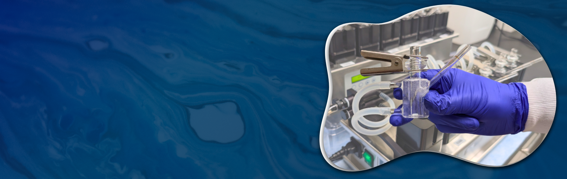 IVPT Webinar Banner