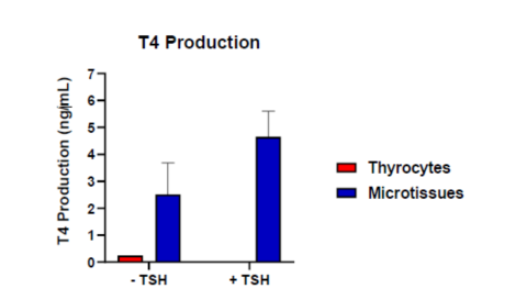 Figure 2. T4 Production in Human Thyroid Microtissues Compared to Thyrocytes with and without TSH Stimulation