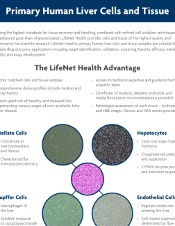 Brochure - Liver Primary Cells and Tissues Brochure