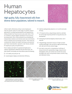Brochure - Primary Human Hepatocytes Flyer