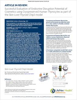 Brochure - Cryopreserved Primary Human Thyrocytes for Endocrine Disruption of Cosmetics