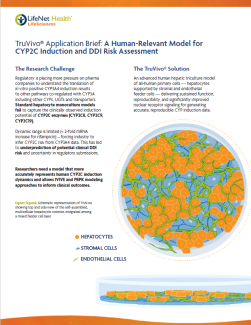 Brochure - TruVivo Application Brief: CYP2C Induction and DDI Risk Assessment