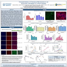 Characterization of Clearance Mechanisms in an All-Human Cell Based Tri-Culture System