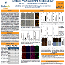 Characterization of Primary Human Hepatocytes from Diseased and Healthy Livers in an All-human Cell-based Triculture System